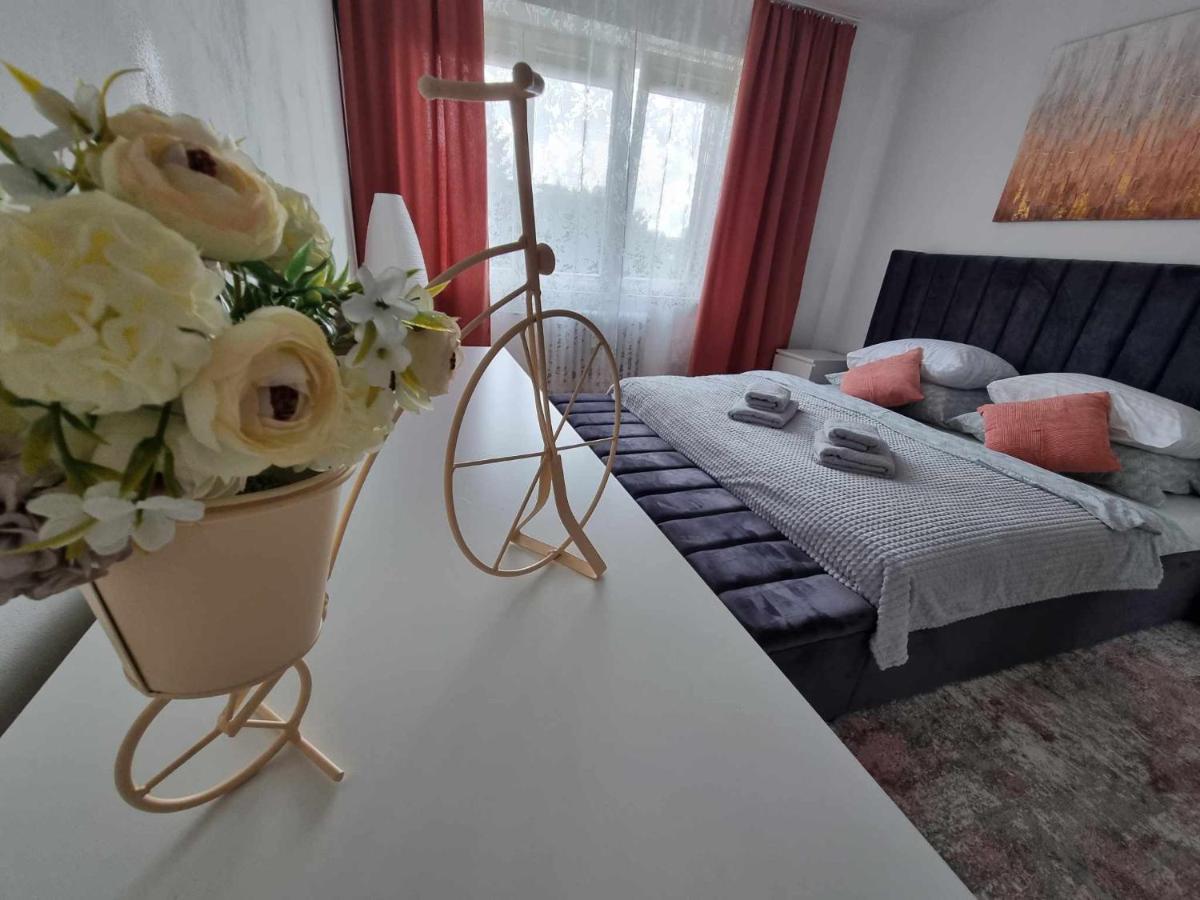 Prostorny Byt V Centru U Reky, 2 Loznice, Balkon Hradec Králové Exterior foto